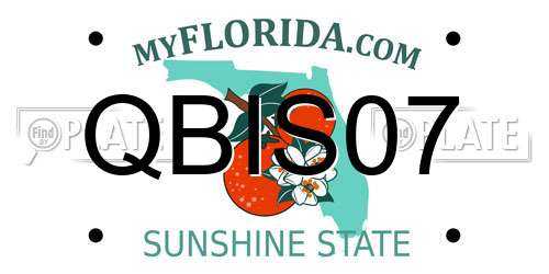 QBIS07 Florida License Plate