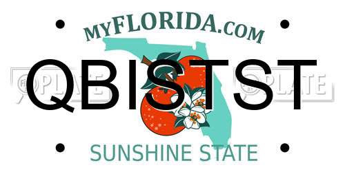 QBISTST Florida License Plate