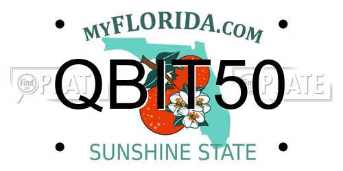 QBIT50 Florida License Plate