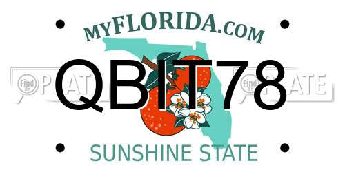 QBIT78 Florida License Plate