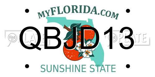 QBJD13 Florida License Plate