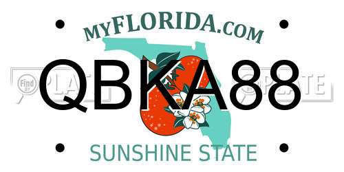 QBKA88 Florida License Plate