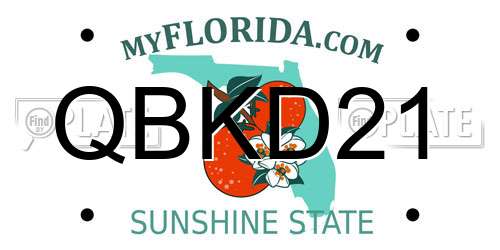 QBKD21 Florida License Plate