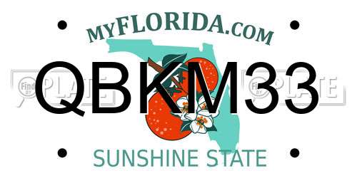 QBKM33 Florida License Plate