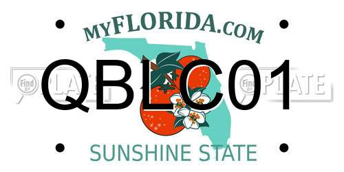QBLC01 Florida License Plate