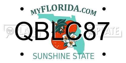 QBLC87 Florida License Plate