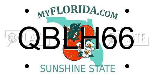 QBLH66 Florida License Plate