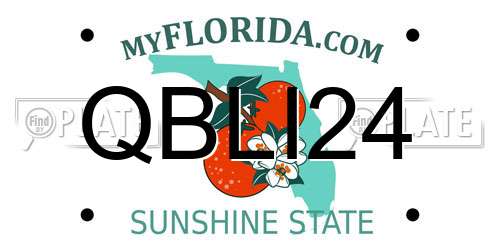QBLI24 Florida License Plate