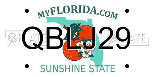 QBLJ29 Florida License Plate
