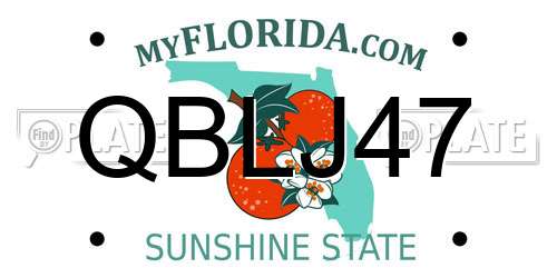 QBLJ47 Florida License Plate