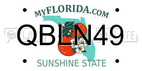 QBLN49 Florida License Plate