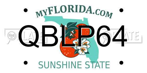 QBLP64 Florida License Plate