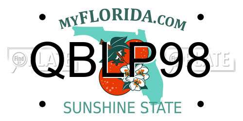 QBLP98 Florida License Plate