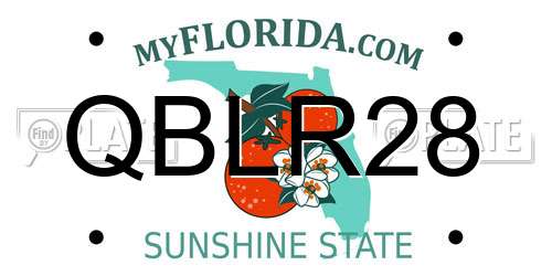 QBLR28 Florida License Plate