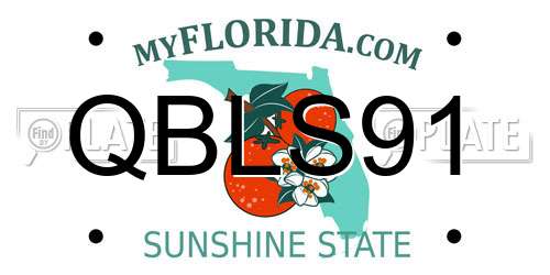 QBLS91 Florida License Plate