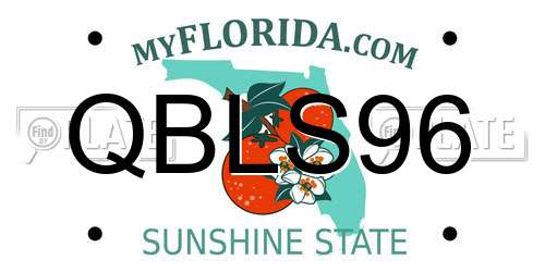 QBLS96 Florida License Plate