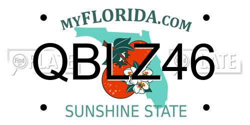 QBLZ46 Florida License Plate