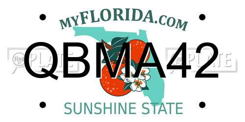 QBMA42 Florida License Plate