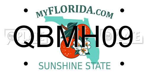 QBMH09 Florida License Plate