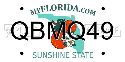 QBMQ49 Florida License Plate