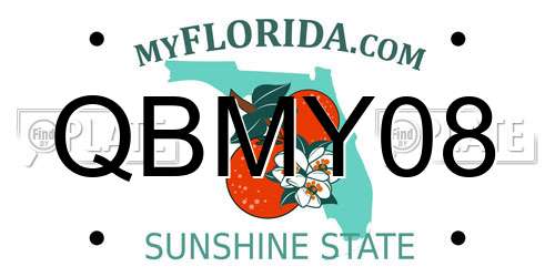 QBMY08 Florida License Plate