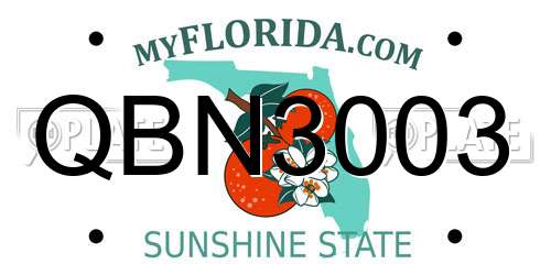 QBN3003 Florida License Plate