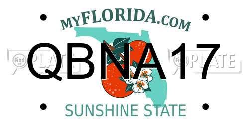 QBNA17 Florida License Plate