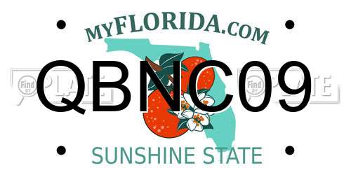 QBNC09 Florida License Plate