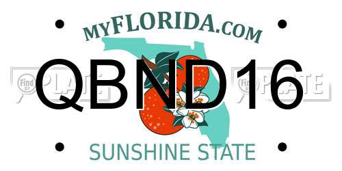 QBND16 Florida License Plate