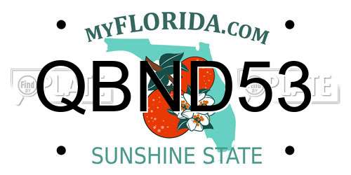 QBND53 Florida License Plate
