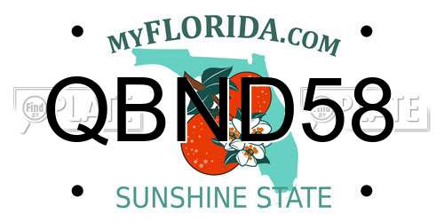 QBND58 Florida License Plate
