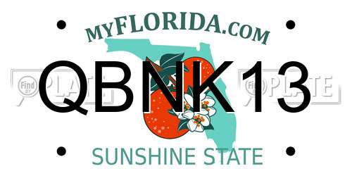 QBNK13 Florida License Plate