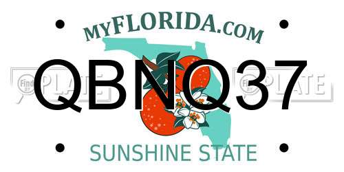 QBNQ37 Florida License Plate