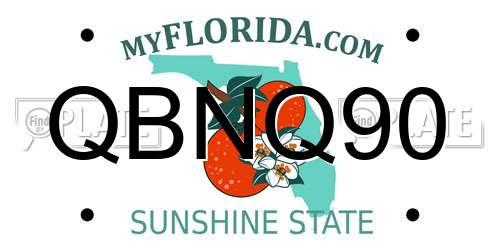 QBNQ90 Florida License Plate