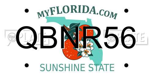 QBNR56 Florida License Plate