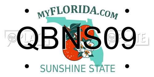 QBNS09 Florida License Plate