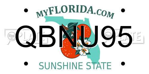QBNU95 Florida License Plate