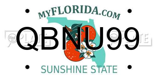 QBNU99 Florida License Plate