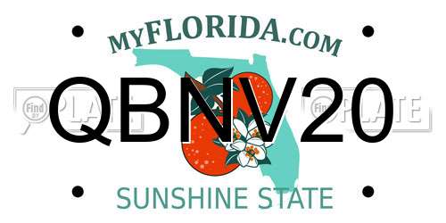 QBNV20 Florida License Plate