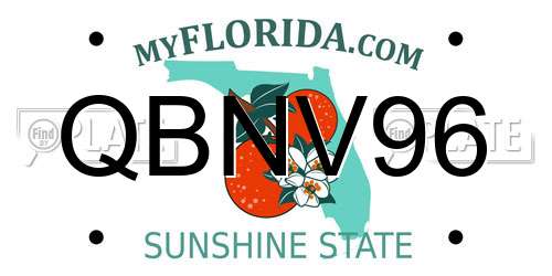 QBNV96 Florida License Plate