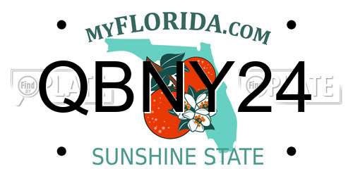 QBNY24 Florida License Plate