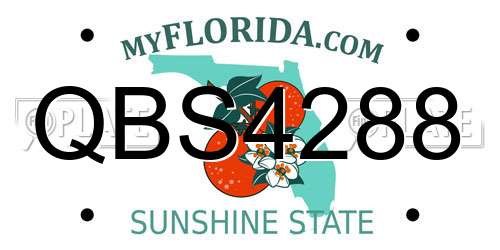 QBS4288 Florida License Plate