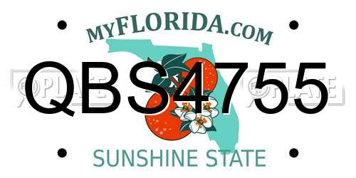 QBS4755 Florida License Plate