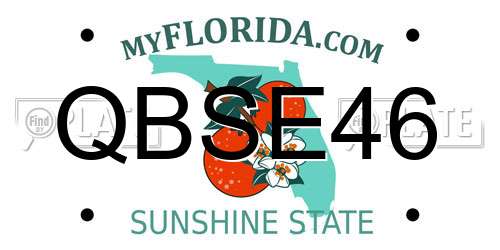 QBSE46 Florida License Plate