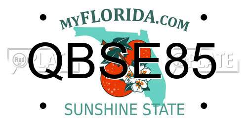 QBSE85 Florida License Plate