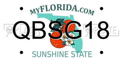 QBSG18 Florida License Plate