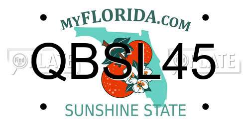 QBSL45 Florida License Plate