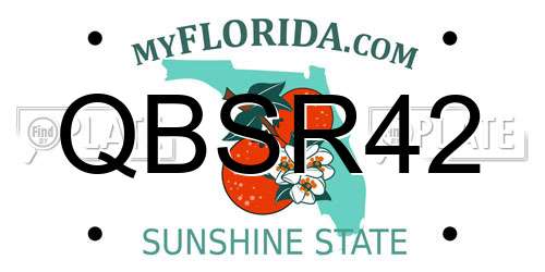 QBSR42 Florida License Plate
