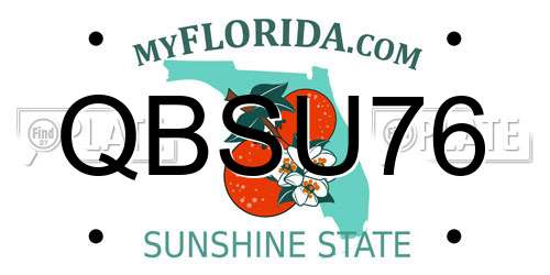 QBSU76 Florida License Plate