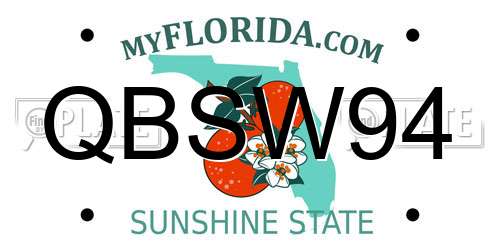 QBSW94 Florida License Plate